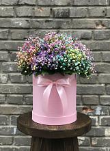 Цветочная композиция из Гипсофила и Розы в шляпной коробке в Толмачёво Новосибирская область