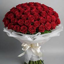 Букет 101 Красная роза Блэк Мэджик в Толмачёво Новосибирская область