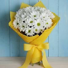 Букет цветов из:  Хризантемы в Толмачёво Новосибирская область