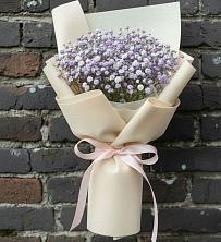 Букет цветов из:  Гипсофила в Толмачёво Новосибирская область