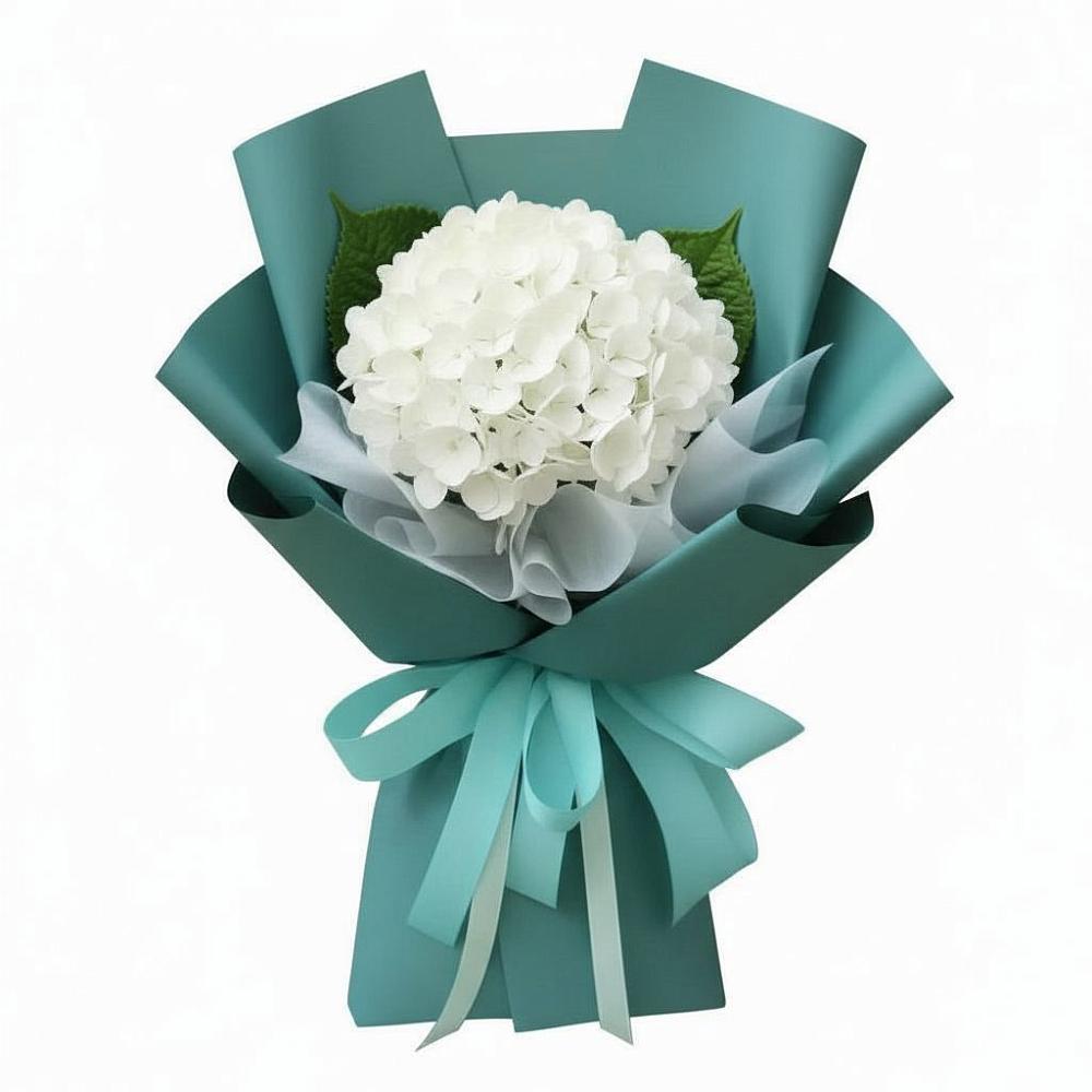 Букет цветов из: Гортензия в Толмачёво Новосибирская область