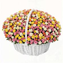 Премиум букет из: Розы в Толмачёво Новосибирская область