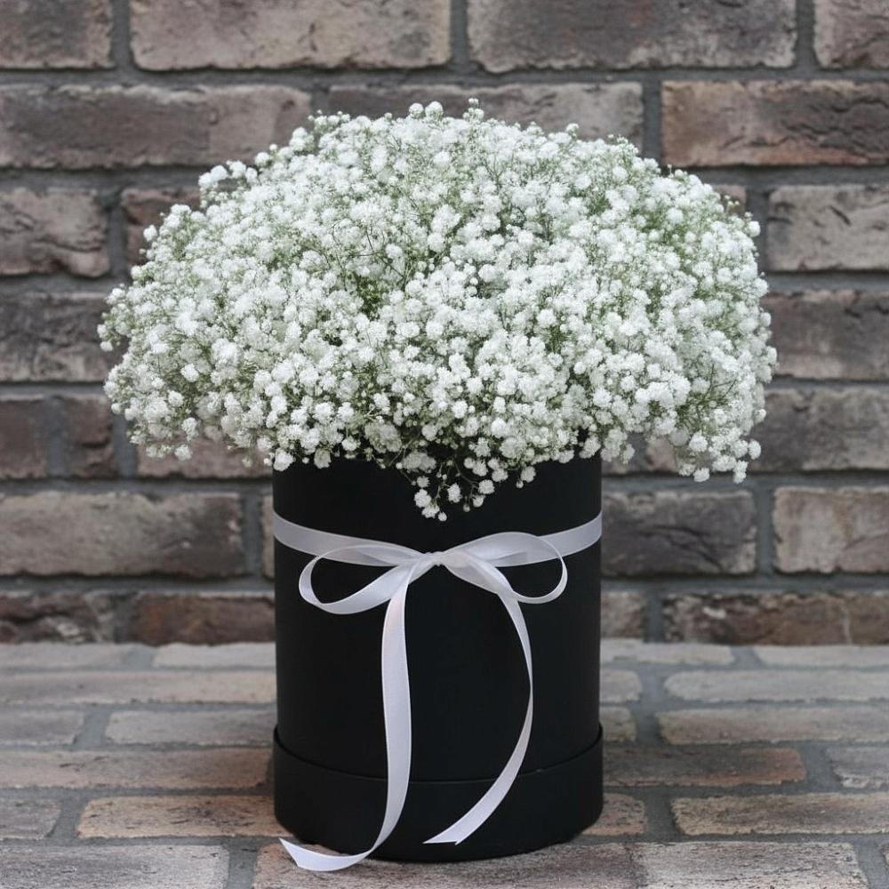 Цветочная композиция из Гипсофила в шляпной коробке в Толмачёво Новосибирская область