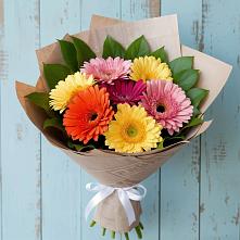 Букет цветов из:  Герберы #REPLACE_PRED# Толмачёво Новосибирская область