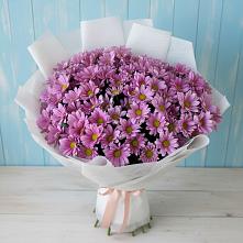Букет цветов из:  Хризантемы в Толмачёво Новосибирская область