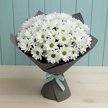 Букет цветов из:  Хризантемы в Толмачёво Новосибирская область