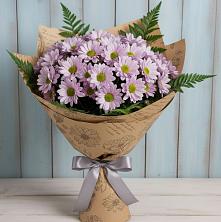 Букет цветов из:  Хризантемы в Толмачёво Новосибирская область