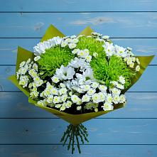 Букет цветов из:  Хризантемы в Толмачёво Новосибирская область