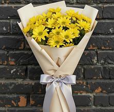 Букет цветов из:  Хризантемы в Толмачёво Новосибирская область