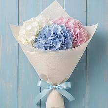 Букет цветов из:  Гортензия в Толмачёво Новосибирская область
