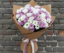 Букет цветов из:  Хризантемы в Толмачёво Новосибирская область