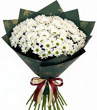 Букет цветов из:  Хризантемы в Толмачёво Новосибирская область