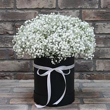 Цветочная композиция из Гипсофила в шляпной коробке в Толмачёво Новосибирская область