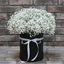 Цветочная композиция из Гипсофила в шляпной коробке в Толмачёво Новосибирская область