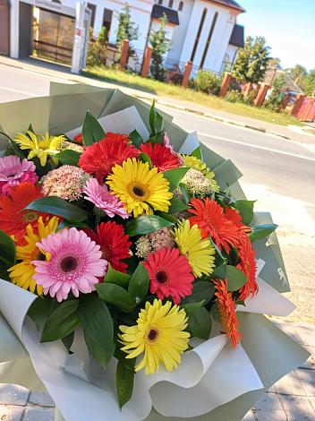 Букет цветов из: Герберы в Толмачёво Новосибирская область