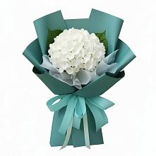 Букет цветов из:  Гортензия в Толмачёво Новосибирская область